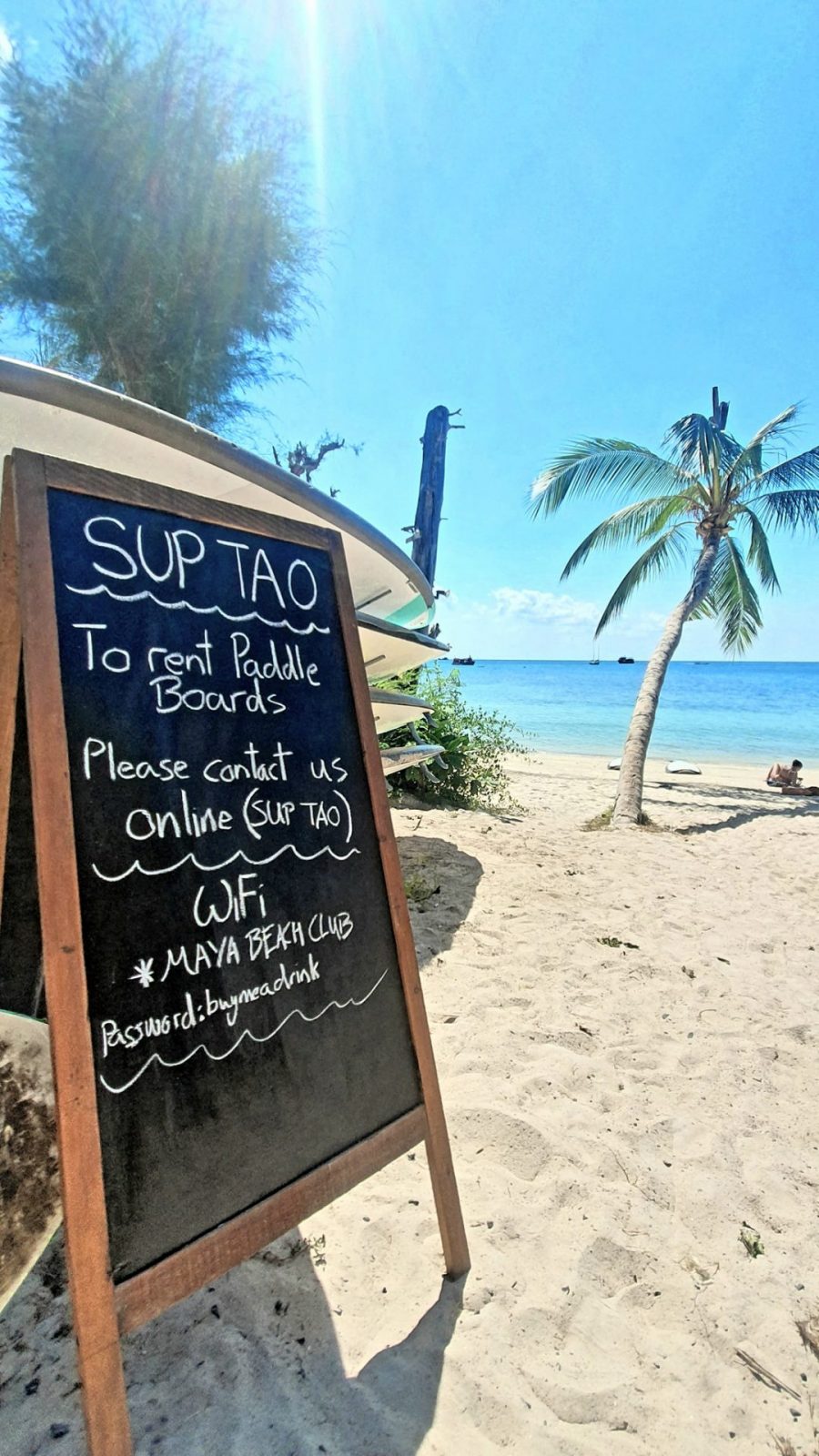 SUP Tao Koh Tao Thailand